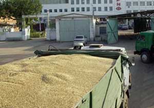 грузовик с зерном