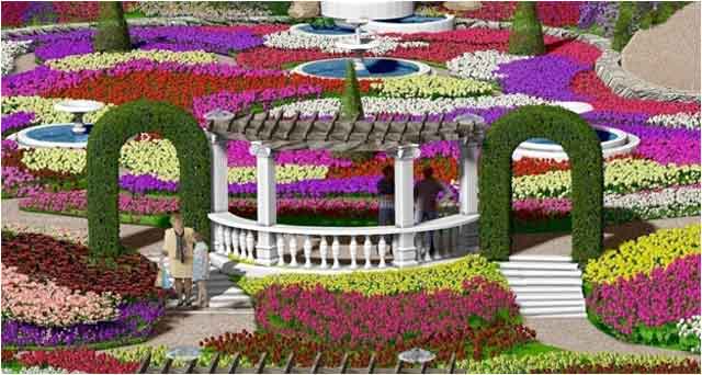 Выставка хризантем в Никитском ботаническом саду