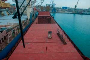 Компания-судовладелец Amur Shipping 2515 LTD в течение нескольких месяцев не выплачивала заработную плату членам команды, при этом взыскателями оказались сразу две команды судна