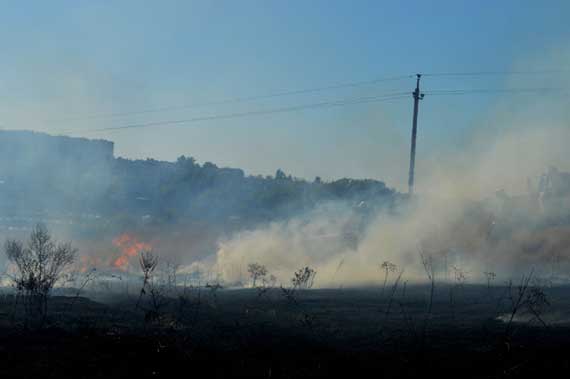 Самое большое загорание травы площадью 5 Га произошло в Нахимовском районе, возле СТ «Восход», рядом с Максимовой дачей