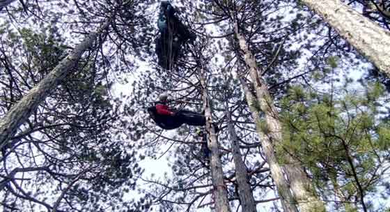 Сотрудники государственного казенного учреждения «Крым-Спас» более двух часов снимали с дерева неудачно приземлившегося возле посёлка Мисхор парапланериста.