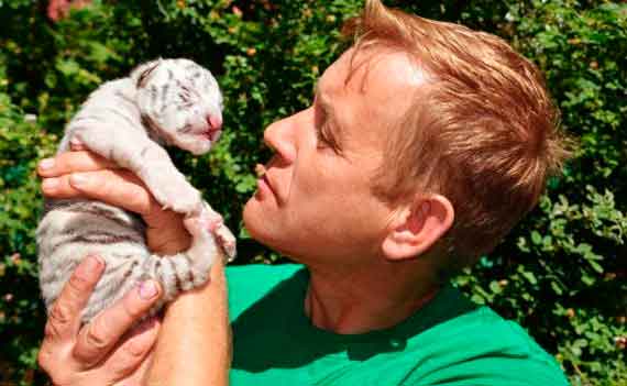 В крымском «Тайгане» родилась редкая бенгальская тигрица