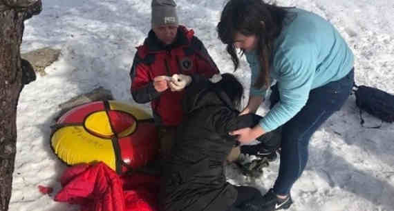 В горах Крыма 38-летняя жительница Алупки получила травму во время катания на тюбинге (надувные санки)