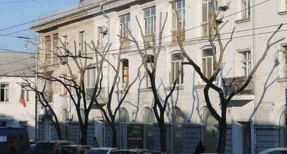 к чему приведет жесткая обрезка деревьев, которая так полюбилась властям Севастополя