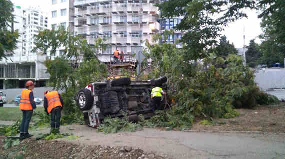 Внедорожник снес дерево на Стрелецком спуске в Севастополе