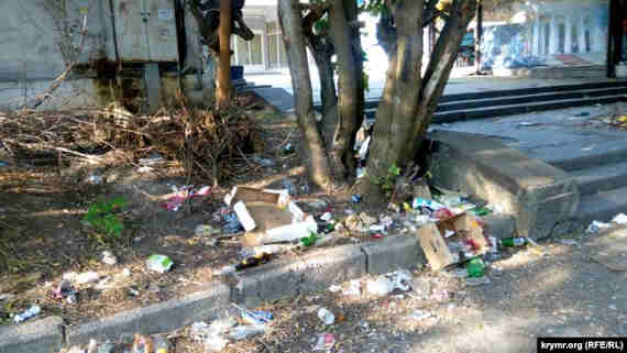 Местные жители возмущаются, что мусор продолжает лежать и несколько раз сами убирали под кедрами