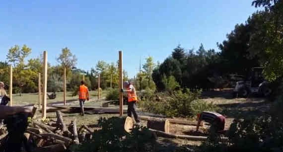 вырубка деревьев в Севастополе