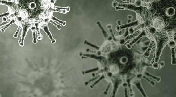 случаи коронавирусной инфекции