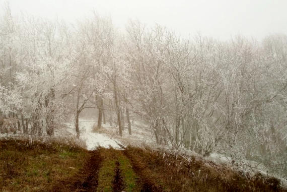 отографии первого снега в горах Крыма