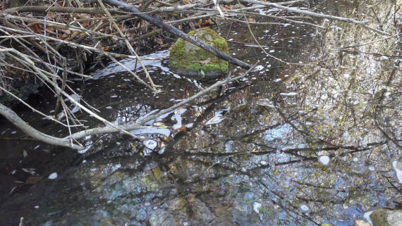 в Чернореченском водохранилище снова увидели нечистоты