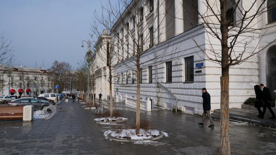 деревья на площади Лазарева в Севастополе