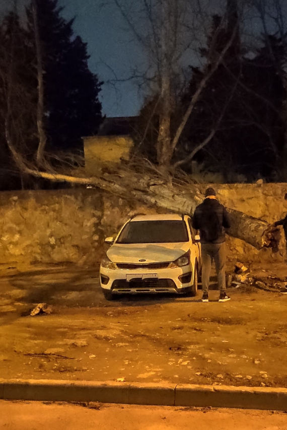 На проспекте Октябрьской Революции во дворе у дома №51 на припаркованный автомобиль упал большой тополь