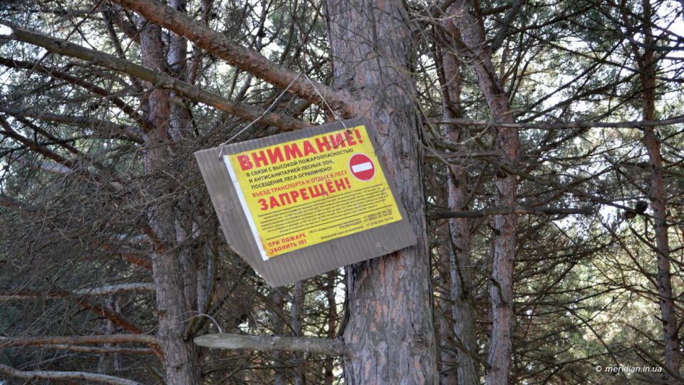 пожароопасный период в лесу