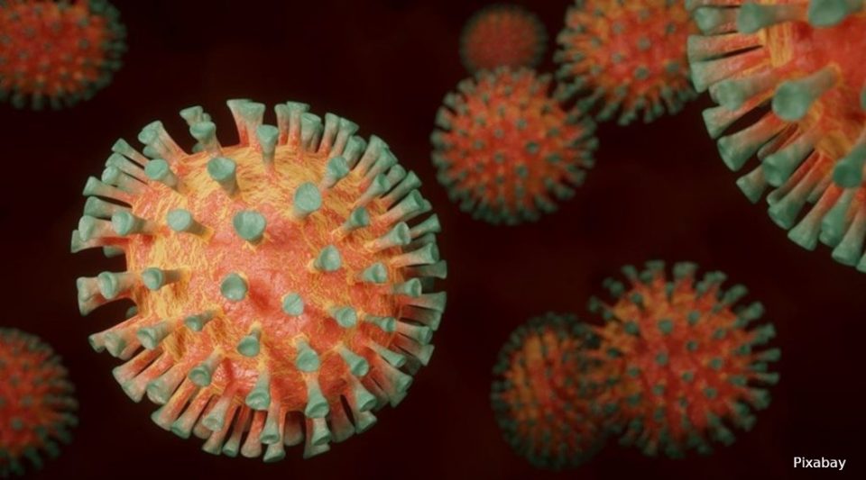 новые штаммы коронавируса