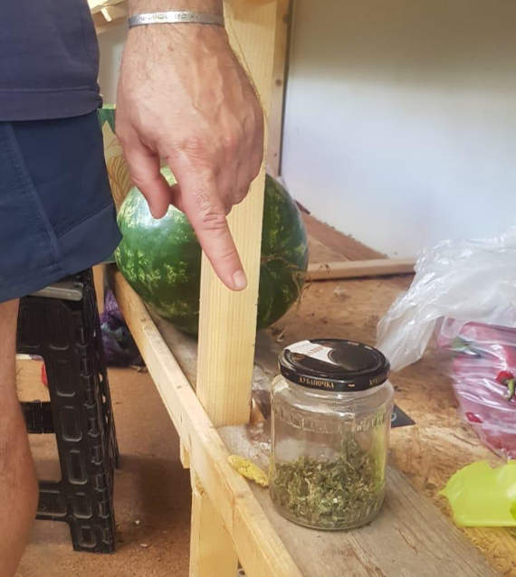 продавец киоска хранил марихуану на полке с овощами