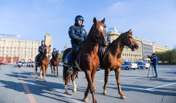 конный взвод полиции