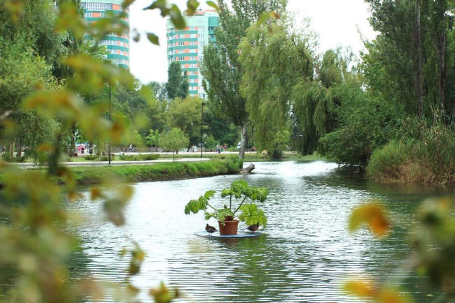 пруд в Гагаринском парке Симферополя