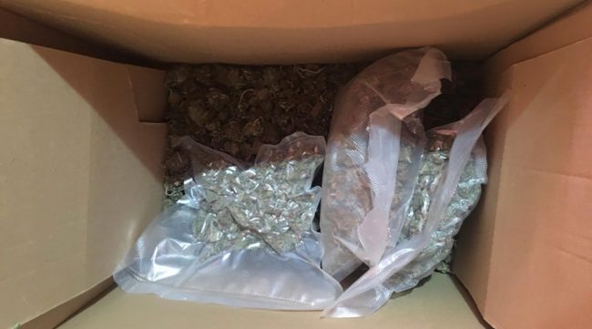 Полицейские изъяли два килограмма марихуаны