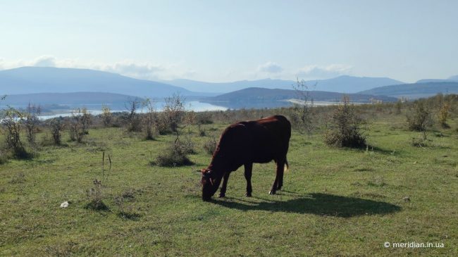 Чернореченское водохранилище