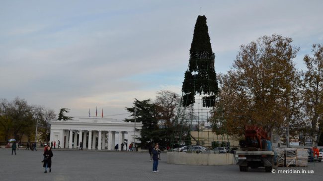 установка новгодней елки на площади Нахимова в Севастополе