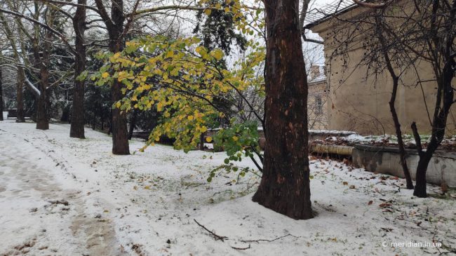 снег Севастополь