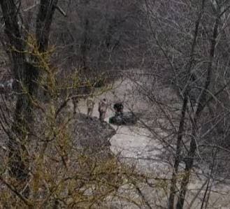 В реке в селе Каштановка Первомайского района утонул автомобиль