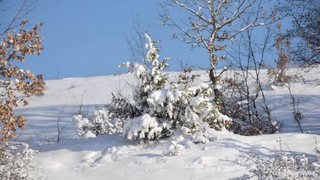 снег в крымских горах