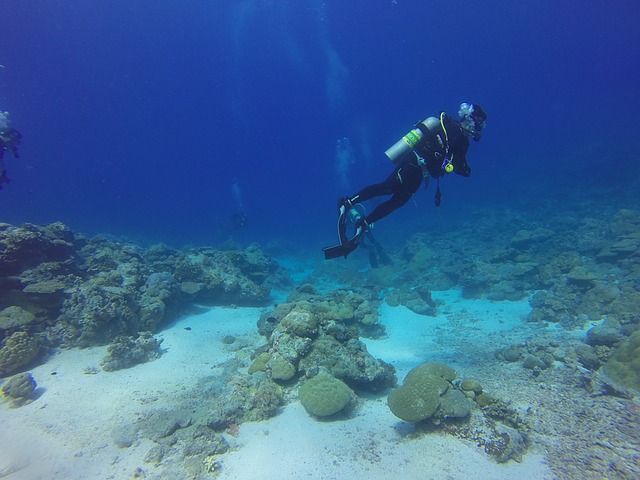 подводные исследования Черного и Азовского морей