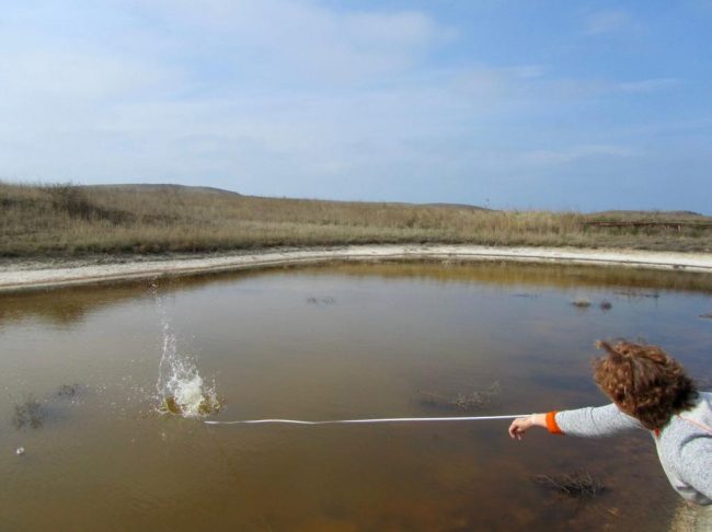 В районе заповедника «Казантипский» на Керченском полуострове ученые взяли пробы воды и микробиальных образований в искусственно созданном озере