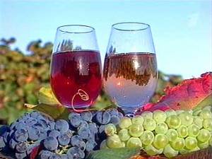 винный фестиваль, винная дорога, виноделие, бокалы