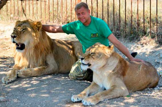 Директор ялтинского зоопарка «Сказка» и белогорского парка львов «Тайган» Олег Зубков