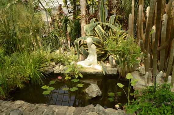 Кактусовая оранжерея Никитского сада