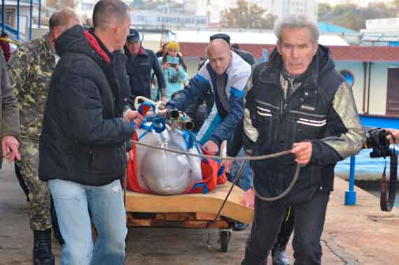 севастопольский дельфинарий продал белуху в Сочи