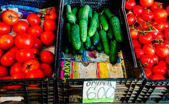 Севастопольцы возмущены ценами, которые увидели на городских рынках накануне Нового года. Стоимость огурцов варьировалась от 220 до 900 рублей за килограмм.