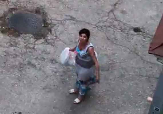 Женщина засунула бездомных котят в мусорный пакет и увезла в неизвестном направлении. Соседи рассказали, что животные во дворе пропадают не в первый раз.