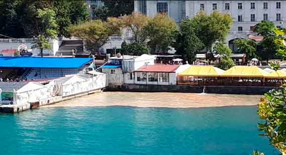 5 сентября сообщалось о сливе большого количества неизвестного вещества в Артбухту Севастополя. Слив был рядом с бассейном дельфинария, пляжем и набережной.