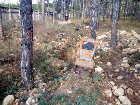 В Севастополе на кладбище Мекензиевых гор нет места для захоронения бездомных. Поэтому их хоронят под краснокнижными соснами за кладбищенским забором.