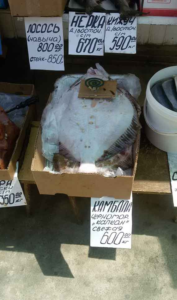 рыбные ряды севастопольских рынков завалены калканом. Этот снимок сделан на днях на Сталинградском рынке