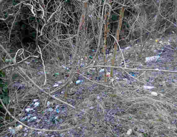 Несанкционированная свалка бытового мусора в балке в районе дома № 2 по ул. Малярная
