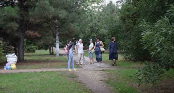 Порядка 800 деревьев из 3000 вырубят в парке 60-летия СССР в ходе реконструкции