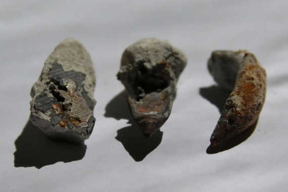 В Севастополе Инкерманском карьере в известняке возрастом 70 миллионов лет обнаружены предметы, похожие на металлические пули