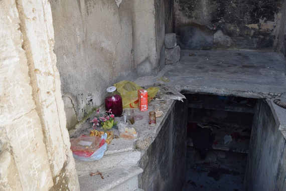 жилище пожирателя котов на севастопольском кладбище