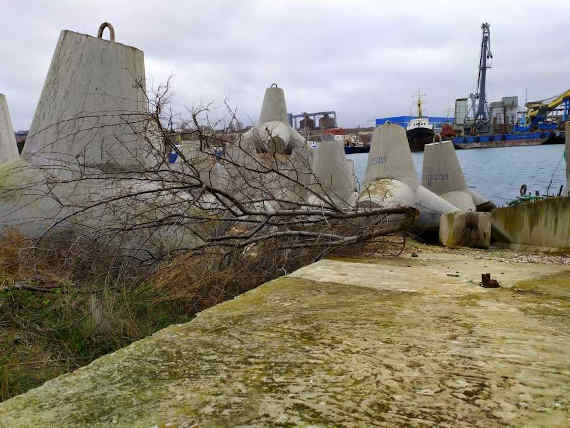 В Севастополе на одном из участков между Казачьей и Камышовой бухтами вырубили деревья и взяли пробы грунта