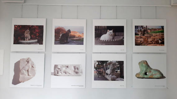 20 февраля 2020 года в малом зале античной экспозиции состоялось торжественное открытие выставки «Девять жизней в Херсонесе», посвященной преданным помощникам музейщиков – херсонесским котам