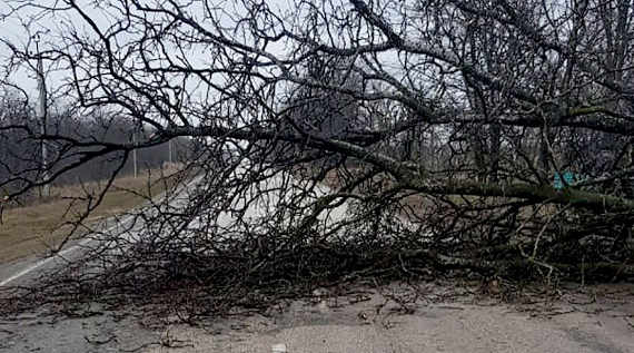 Ураганный ветер повалил деревья на дороги 