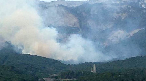 Возгорание леса произошло над ялтинским микрорайоном Васильевка