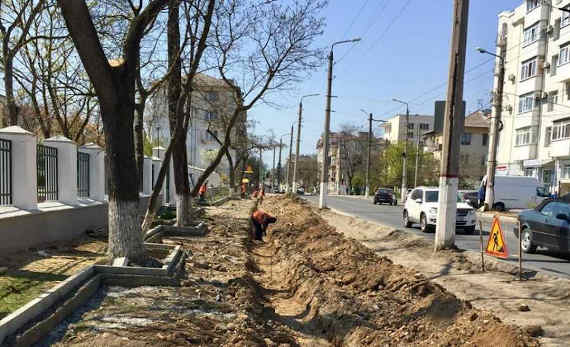 В ходе ремонта улицы Льва Толстого в Севастополе срубили 256 деревьев и 222 кустарника
