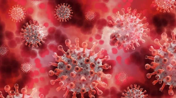 Два десятка случаев заражения коронавирусной инфекцией 