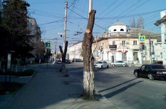 Ремонт улицы Льва Толстого в Севастополе