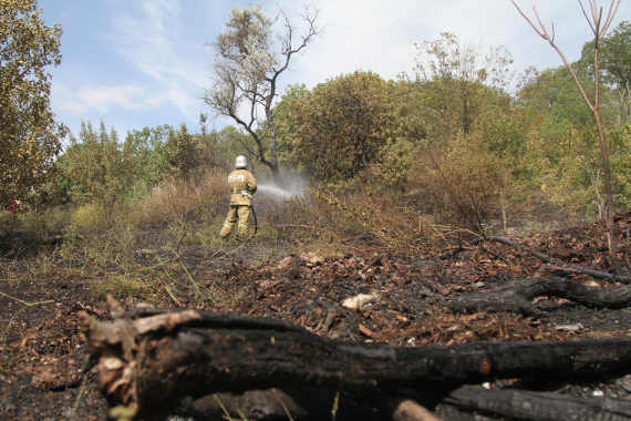 В Севастополе ликвидирован пожар на открытой территории площадью 1 гектар в посёлке Голландия. 